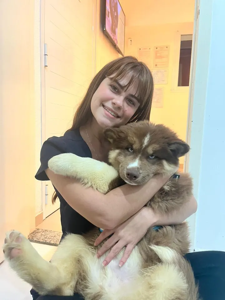 Dra. Juliana com filhote de Akita