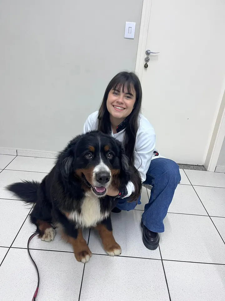 Atendimento Bernese