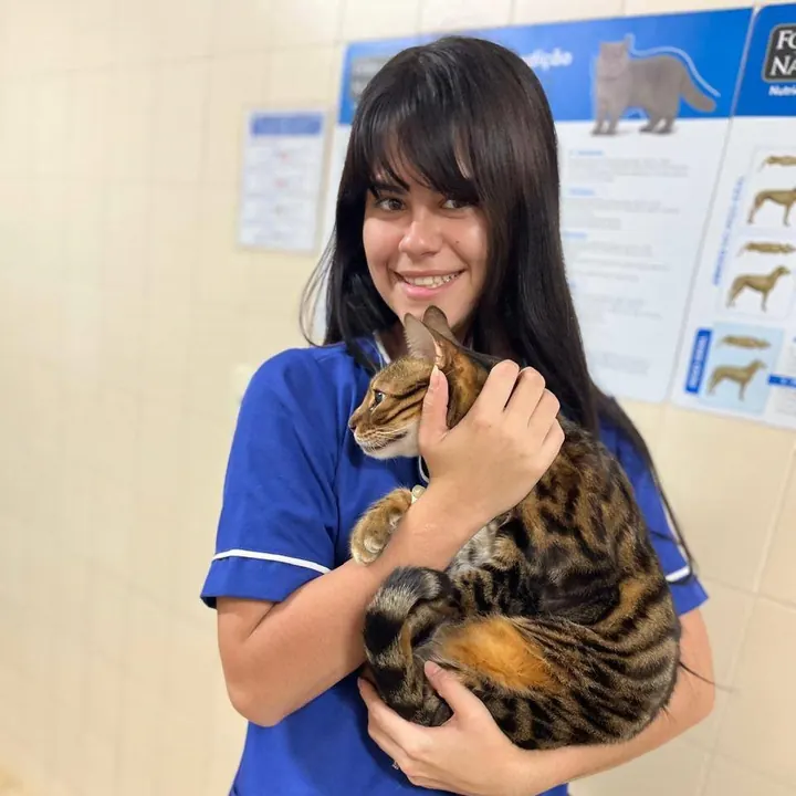 Felinos