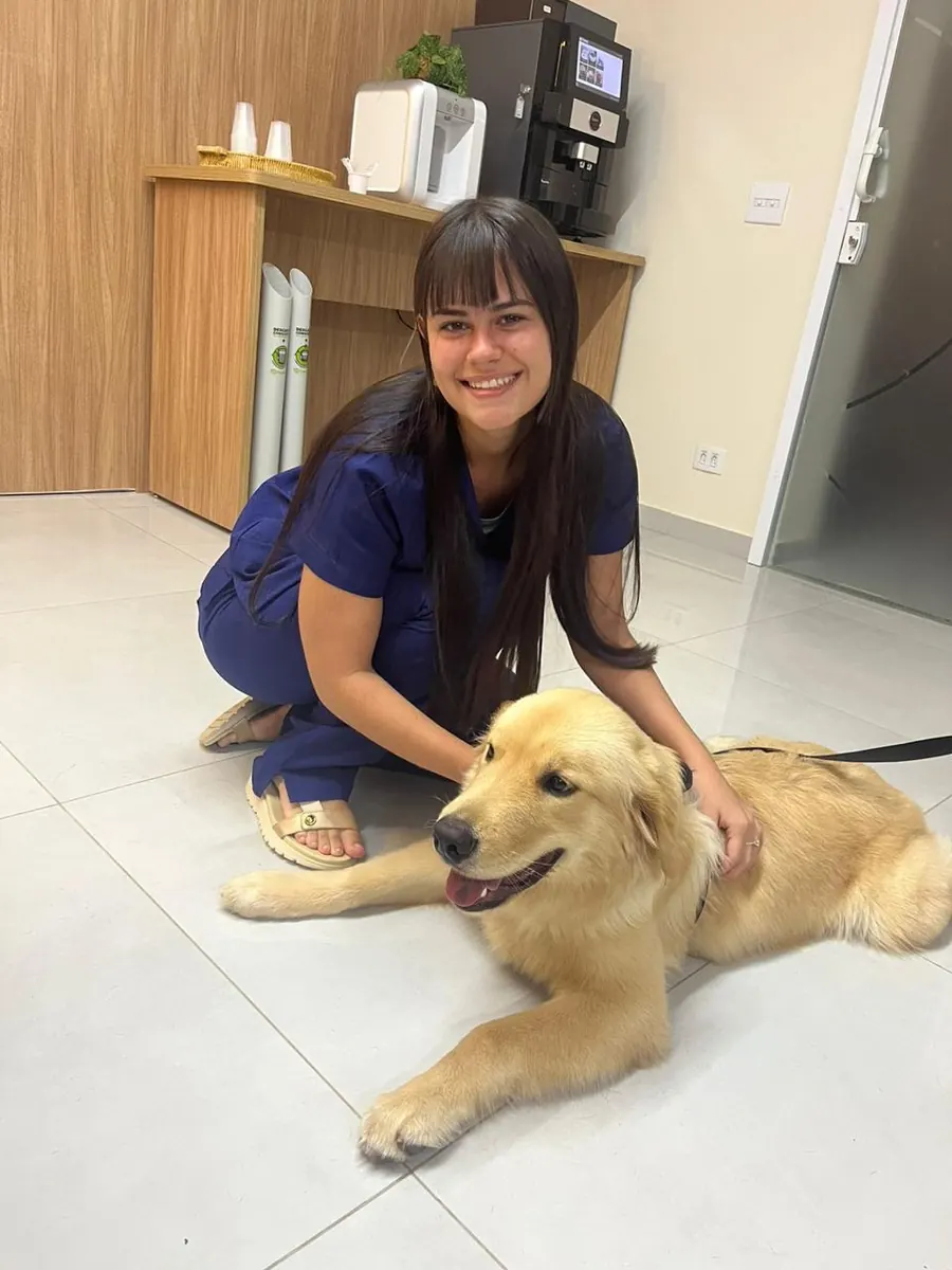 Dra. Juliana Cubas, médica veterinária, atendendo um golden retriever